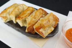 ネパール風手作りギョーザスパイシートマトソース