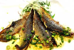 10月のおすすめメニュー更新！秋の収穫祭Menu